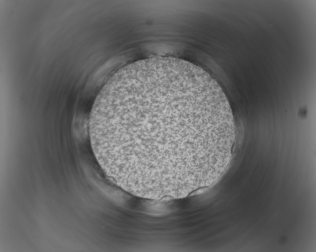 X0000115540191200912181538