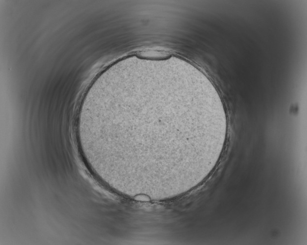 X0000115540193200912181537