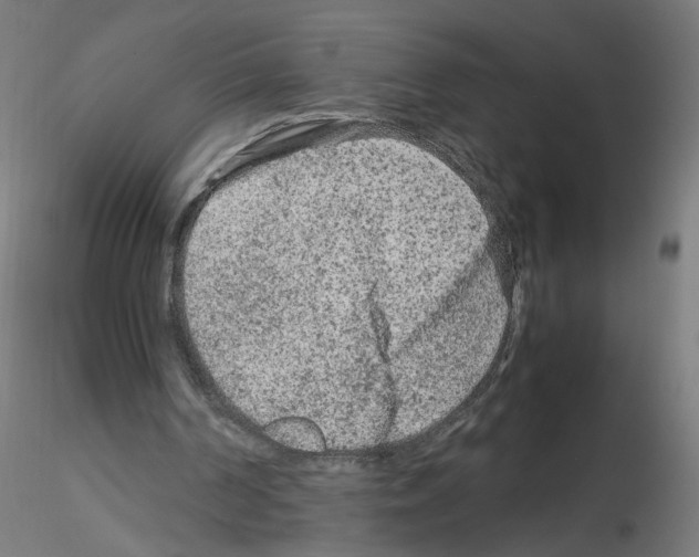 X0000115540194200912181537