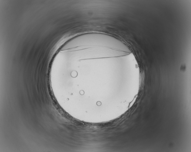 X0000115540195200912181537
