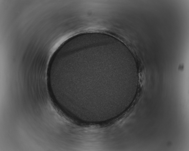X0000115540196200912181537