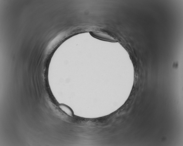 X0000115540197200912181537
