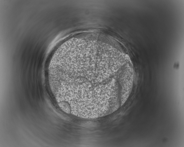 X0000115540198200912181537