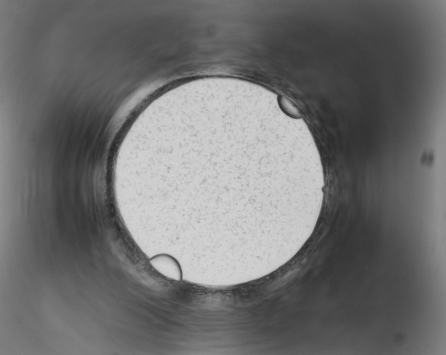 X0000115540200200912181537