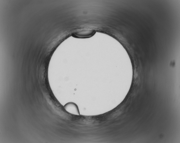 X0000115540201200912181537