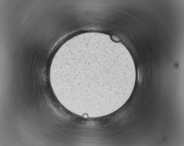 X0000115540204200912181537