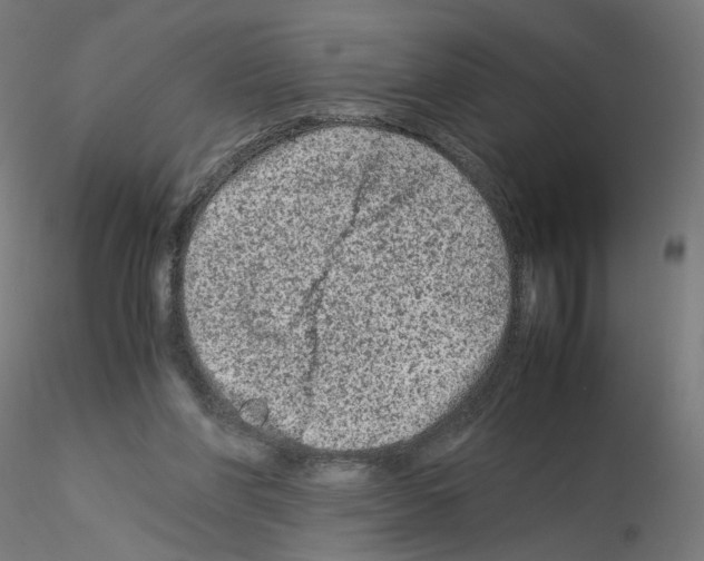 X0000115540206200912181537
