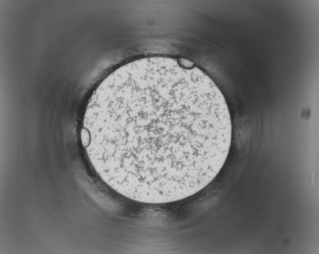 X0000115540207200912181537