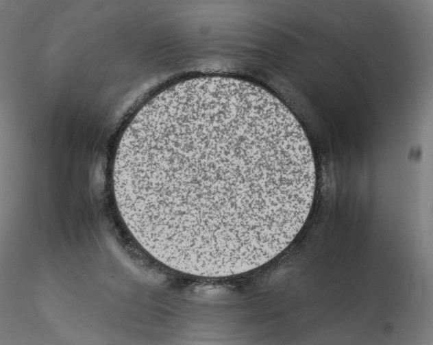 X0000115540208200912181537