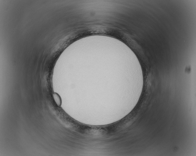 X0000115540209200912181537