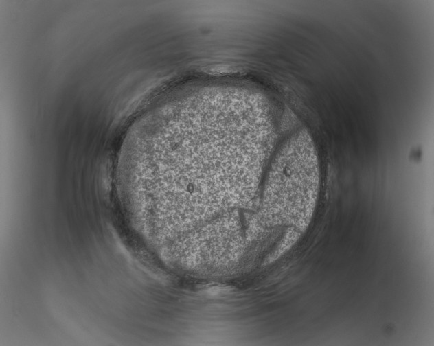 X0000115540210200912181537