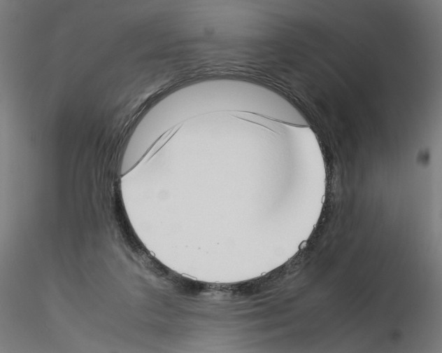 X0000115540211200912181537
