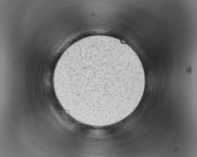 X0000115540212200912181537