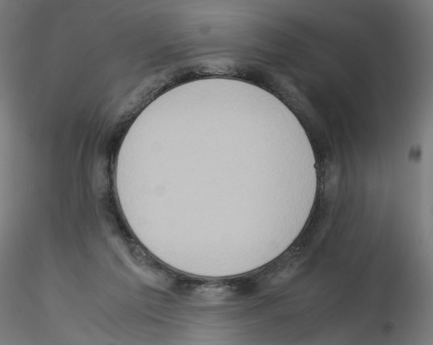 X0000115540213200912181537