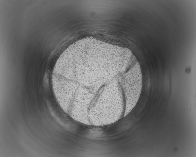 X0000115540214200912181537