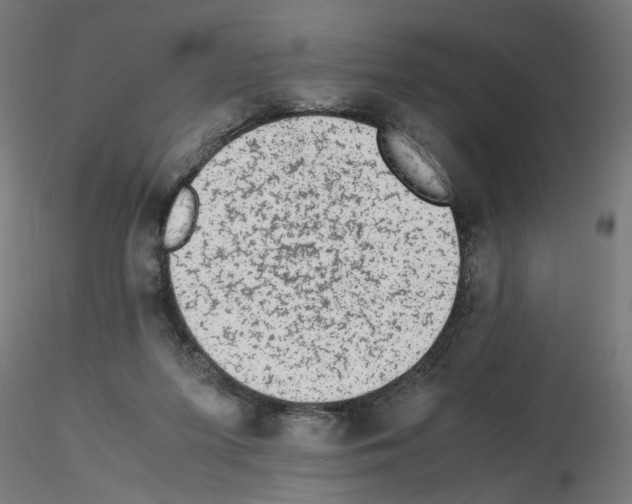 X0000115540215200912181537
