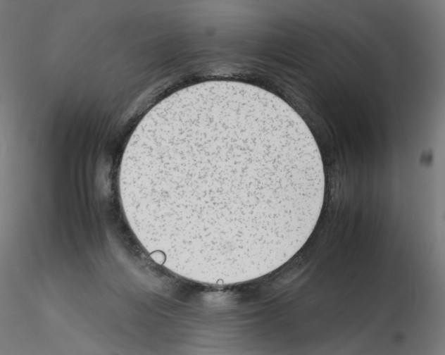 X0000115540216200912181537