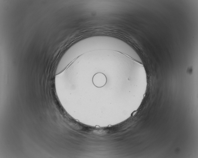 X0000115540217200912181537