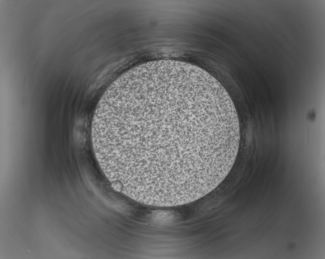 X0000115540218200912181537