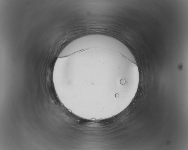 X0000115540219200912181537