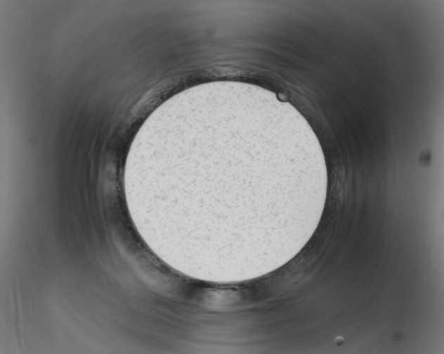 X0000115540220200912181537