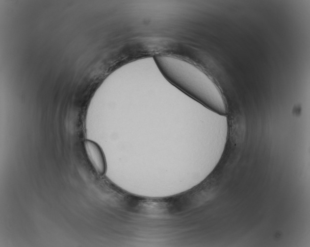 X0000115540221200912181537