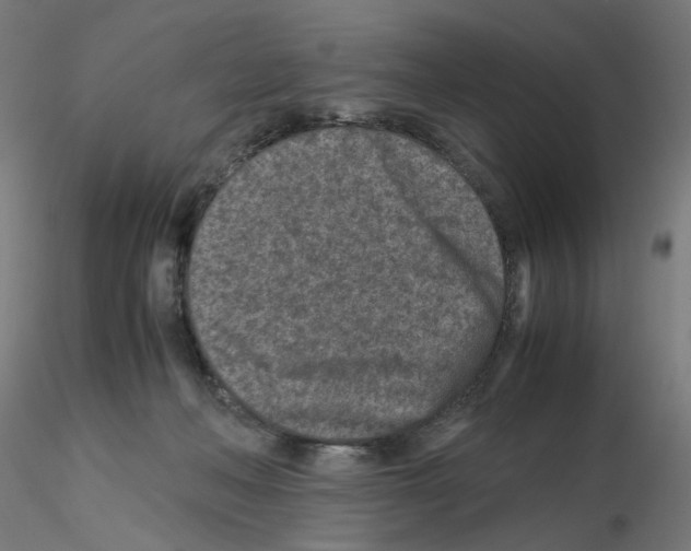 X0000115540222200912181537