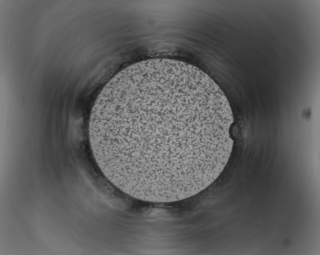 X0000115540224200912181537