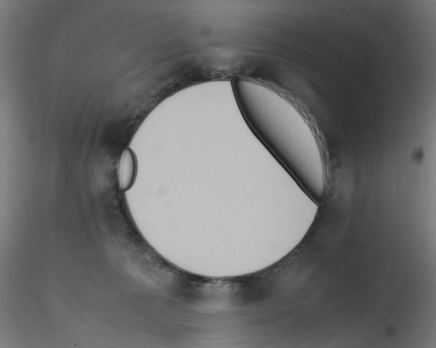 X0000115540225200912181537