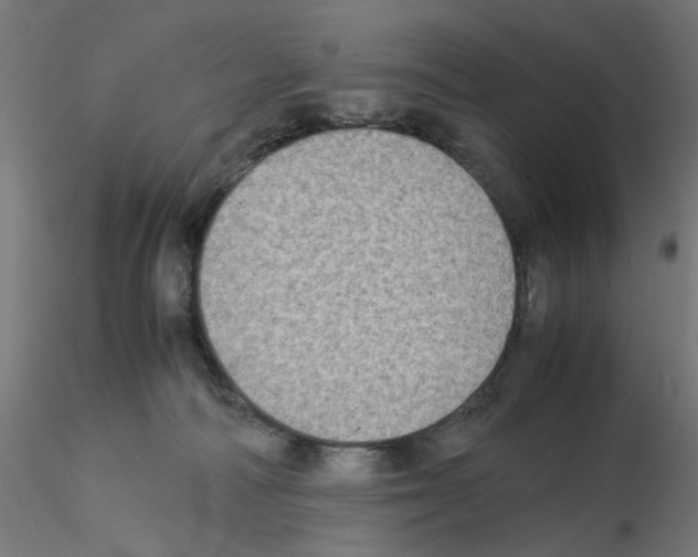 X0000115540226200912181537