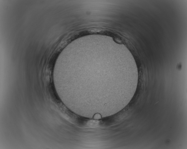 X0000115540227200912181537