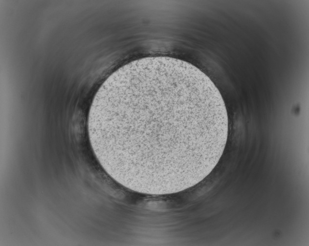 X0000115540228200912181537