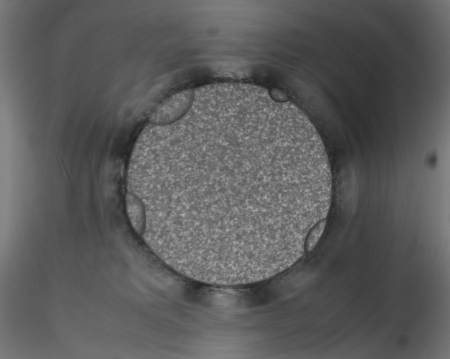 X0000115540229200912181537
