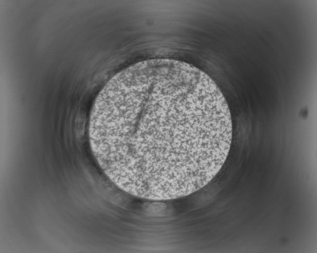 X0000115540230200912181537