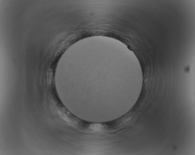 X0000115540231200912181537