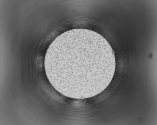 X0000115540232200912181537