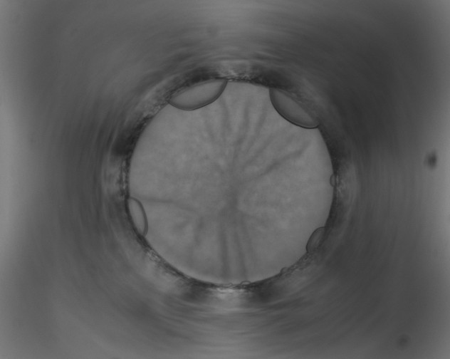 X0000115540233200912181537