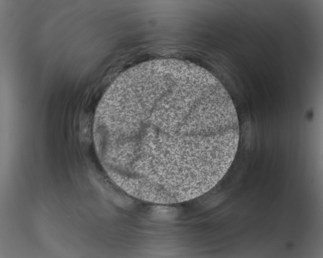X0000115540234200912181537