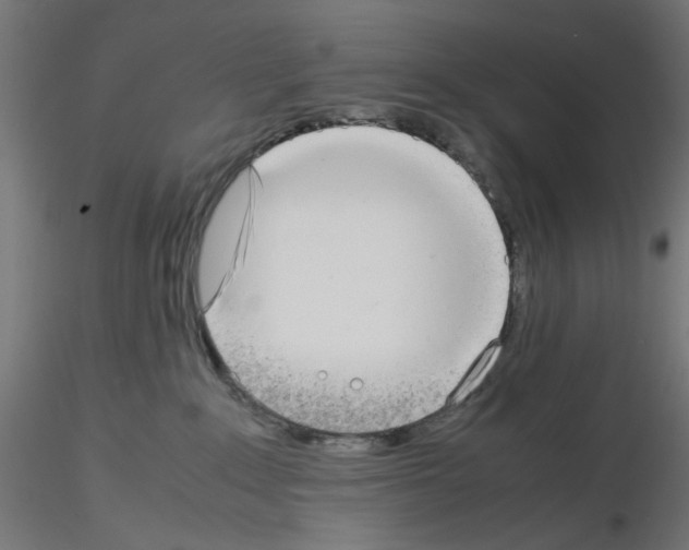 X0000115540235200912181536