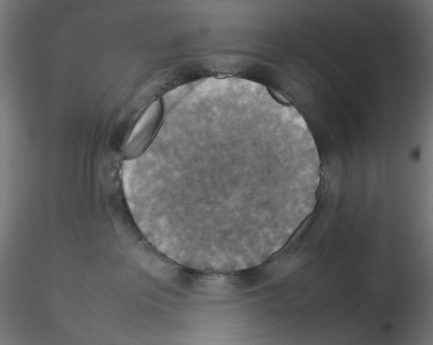 X0000115540237200912181536