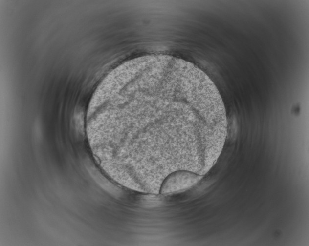 X0000115540238200912181536