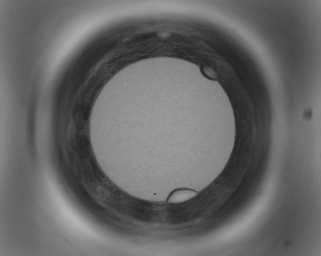 X0000115540239200912181536