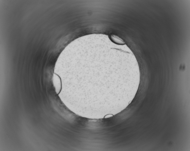 X0000115540240200912181536