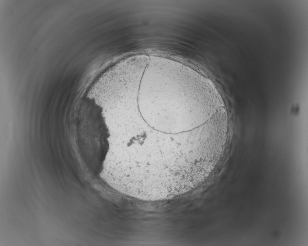 X0000115540241200912181536
