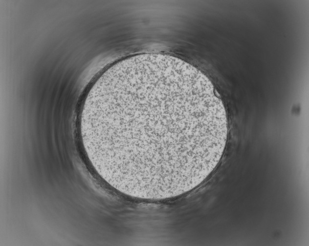 X0000115540242200912181536