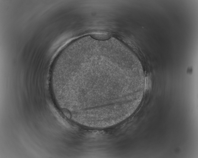X0000115540243200912181536