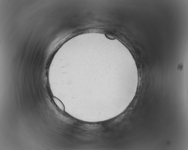 X0000115540245200912181536