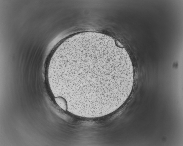 X0000115540246200912181536