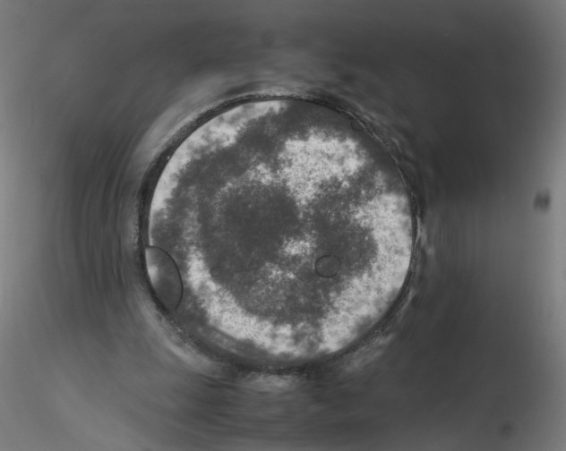 X0000115540247200912181536