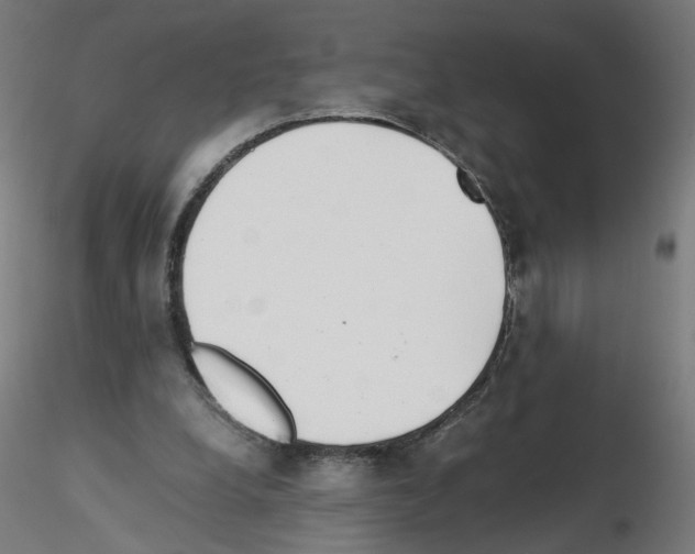 X0000115540248200912181536